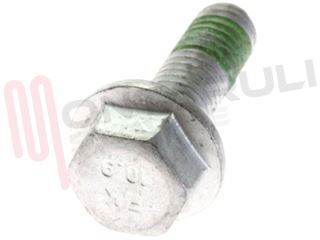 Immagine di VITE FISSAGGIO PULEGGIA 'AWG641WP'