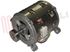 Immagine di MOTORE 2/16 POLI 230/240V'PULEGGIA POLY-V