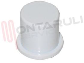 Visualizza i dettagli per TASTO BIANCO PER PULSANTE Immagine di TASTO BIANCO PER PULSANTE