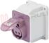 Immagine di PRESA FISSA PARETE CEE 10° 2P 16A 24V IP44
