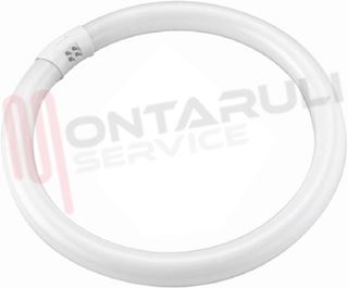 Immagine di TUBO FLUORESCENTE CIRCOLARE 32W 6500K G10Q LUCE FREDDA