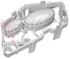 Immagine di TASTI A PRESSIONE START/STOP MICROONDE WHIRLPOOL
