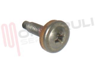 Immagine di VITE CON GUARNIZIONE  M4X12 TMT INOX