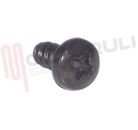 Visualizza i dettagli per VITE AUTOFILETTATA NERA 2,7X8MM. Immagine di VITE AUTOFILETTATA NERA 2,7X8MM.