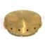 Immagine di SPARTIFIAMMA OTTONE GREZZO PICCOLO D.38MM.