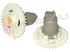Immagine di INGRANAGGIO RASOIO 2 TESTINE PHILIPS KIT 2PZ.