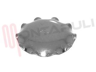 Immagine di COPRISPARTIFIAMMA INOX D.40MM
