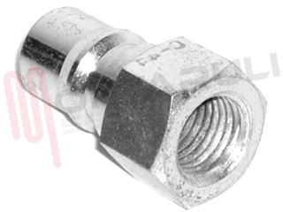 Immagine di GIUNTO RAPIDO MASCHIO 1/4'' NPT WM-16