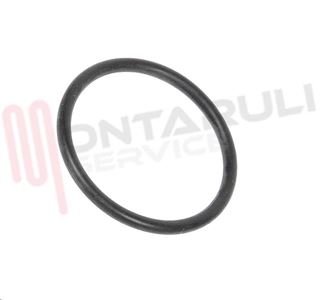 Immagine di ORING POMPA SCARICO ASKOLL ZANUSSI