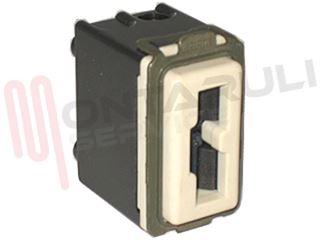 Immagine di PRESA 2P+T 10A 220V SERIE MAGIC