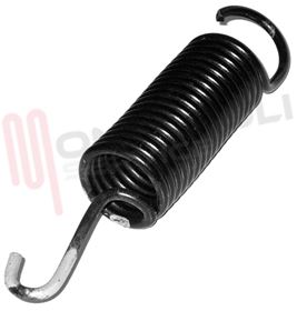 Visualizza i dettagli per MOLLA SOSPENZIONE VASCA L=165MM. Immagine di MOLLA SOSPENZIONE VASCA L=165MM.