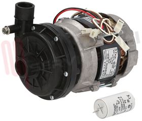 Visualizza i dettagli per MOTOPOMPA LAVAGGIO LGB ZF140SX 0,48HP Immagine di MOTOPOMPA LAVAGGIO LGB ZF140SX 0,48HP