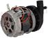 Immagine di MOTOPOMPA LAVAGGIO LGB ZF140SX 0,48HP