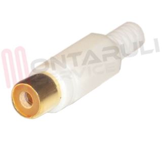 Immagine di SPINOTTO AUDIO RCA FEMMINA GOLD BIANCO