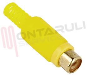 Visualizza i dettagli per SPINOTTO VIDEO RCA FEMMINA GOLD GIALLO Immagine di SPINOTTO VIDEO RCA FEMMINA GOLD GIALLO