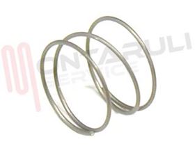 Visualizza i dettagli per MOLLA INOX VALVOLA FERRO DA STIRO OLIMPIC RACING Immagine di MOLLA INOX VALVOLA FERRO DA STIRO OLIMPIC RACING