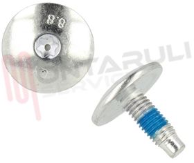 Visualizza i dettagli per PERNO FISSAGGIO PULEGGIA Immagine di PERNO FISSAGGIO PULEGGIA