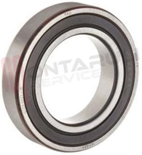 Immagine di CUSCINETTO 6006ZZ MIS. 30X55X13MM.