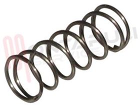 Visualizza i dettagli per MOLLA PER CLIP SGANCIO SPAZZOLA ASPIRAPOLVERE DYSON Immagine di MOLLA PER CLIP SGANCIO SPAZZOLA ASPIRAPOLVERE DYSON