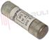 Immagine di FUSIBILE CILINDRICO 14X51MM 16A 500V