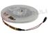 Immagine di STRISCIA LUMINOSA BIAN-FRE 150 LED SMD5050 5MT. 12VDC IP20 S