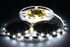 Immagine di STRISCIA LUMINOSA BIAN-FRE 150 LED SMD5050 5MT. 12VDC IP20 S