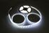 Immagine di STRISCIA LUMINOSA BIAN-FRE 300 LED SMD3528 5MT. 12VDC IP68 S