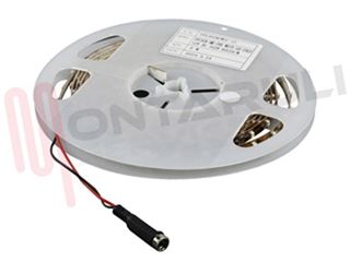 Immagine di STRISCIA LUMINOSA BIAN-FRE 300 LED SMD3528 5MT. 12VDC IP20 S