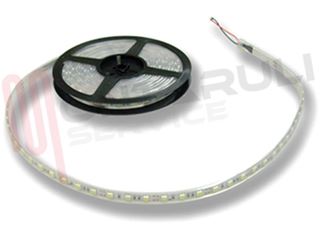 Immagine di STRISCIA LUMINOSA BIAN-FRE 300 LED SMD5050 5MT. 12VDC IP65 C