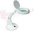 Immagine di LAMPADA DA TAVOLO 40 LED CON LENTE INGRANDIMENTO Ø10CM.