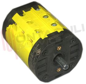 Visualizza i dettagli per COMMUTATORE DI LINEA 3P 16A RETROQ. C0250010R Immagine di COMMUTATORE DI LINEA 3P 16A RETROQ. C0250010R