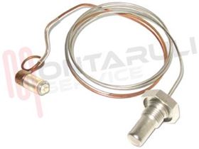 Visualizza i dettagli per ELEMENTO SENSIBILE MINISIT 110-190°C Immagine di ELEMENTO SENSIBILE MINISIT 110-190°C