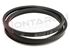 Immagine di CINGHIA 3L550 EX. 3L554