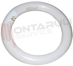 Visualizza i dettagli per TUBO FLUORESCENTE CIRCOLARE 22W/865 6500K LUCE FREDDA Immagine di TUBO FLUORESCENTE CIRCOLARE 22W/865 6500K LUCE FREDDA