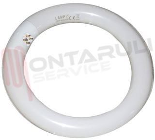 Immagine di TUBO FLUORESCENTE CIRCOLARE 22W/865 6500K LUCE FREDDA