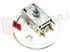 Immagine di TERMOSTATO K59L4090 A030292 RANCO L=403MM.