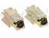 Immagine di CARBONCINI MOTORE C/SUPPORTO DIM. 4X9X25 MM. 2PZ.