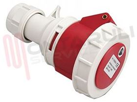 Visualizza i dettagli per PRESA MOBILE CEE IP67 3P+T 16A 380V Immagine di PRESA MOBILE CEE IP67 3P+T 16A 380V