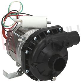 Visualizza i dettagli per MOTOPOMPA LAVAGGIO AP 5800/2013 1HP Immagine di MOTOPOMPA LAVAGGIO AP 5800/2013 1HP