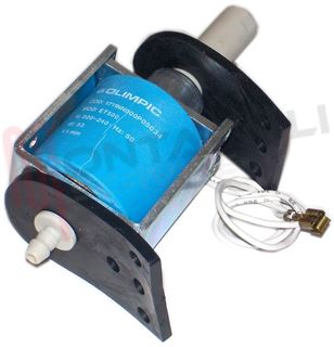 Immagine di POMPA TIPO GRANDE STIRATRICE LUCIA 53W 220-240V OLIMPIC
