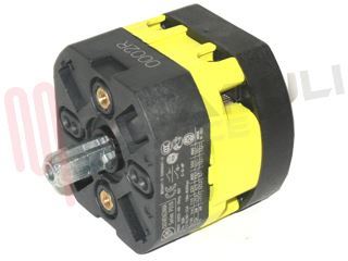 Immagine di INTERRUTTORE BIPOLARE RETROQ. 16A FIN. P016