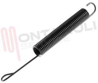 Immagine di MOLLA SPORTELLO L=173MM.