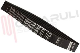 Visualizza i dettagli per CINGHIA RIGHI 5 EPJ 1160 Immagine di CINGHIA RIGHI 5 EPJ 1160