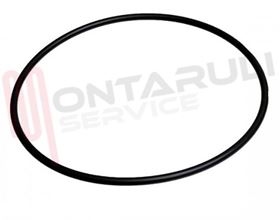 Visualizza i dettagli per GUARNIZIONE CORPO POMPA AP Immagine di GUARNIZIONE CORPO POMPA AP