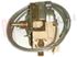 Immagine di TERMOSTATO FRIGO T8FH 165X10 +5-16/+5-26