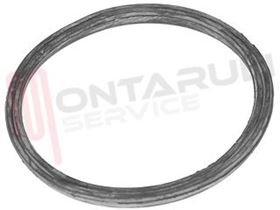 Visualizza i dettagli per GUARNIZIONE FILTRO POMPA Immagine di GUARNIZIONE FILTRO POMPA