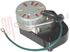 Immagine di TIMER SBRINAMENTO C-54113-12 M175 66128-5