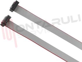 Visualizza i dettagli per CAVO FLAT 10 POLI 2300MM. Immagine di CAVO FLAT 10 POLI 2300MM.