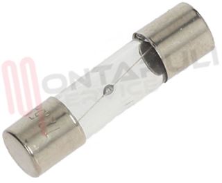 Immagine di FUSIBILE IN VETRO 5X20T 8A 250V RITARDATO