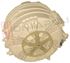Immagine di VASCA PL 46L+PUL D280 H=20+RESISTENZA